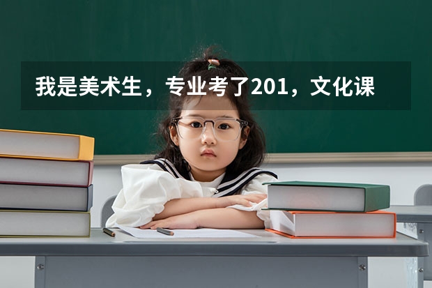 我是美术生，专业考了201，文化课310，请问可以上山东省内什么专科学校？要公办的