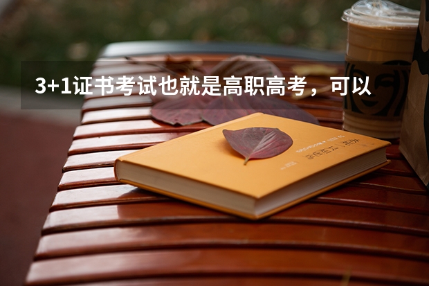 3+1证书考试也就是高职高考，可以报的学校，校风比较好的，3a的，能报考的学校有哪些要公办的！！！