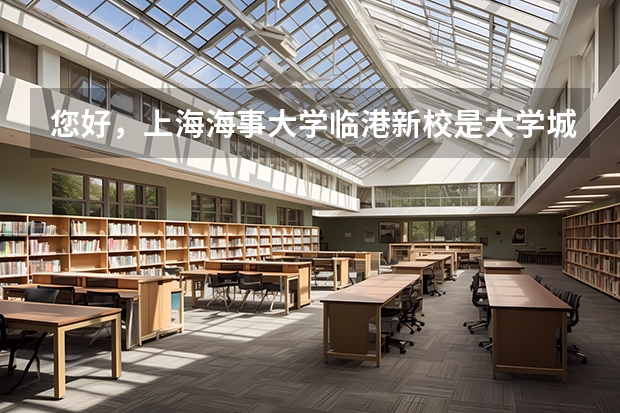 您好，上海海事大学临港新校是大学城还是分院？里面有三本吗