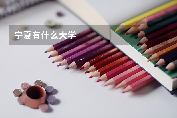 宁夏有什么大学