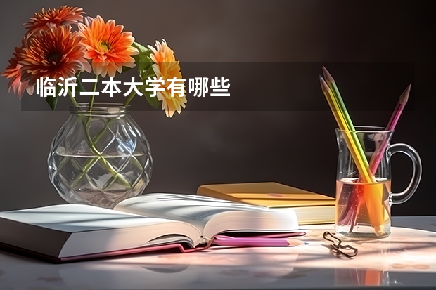 临沂二本大学有哪些