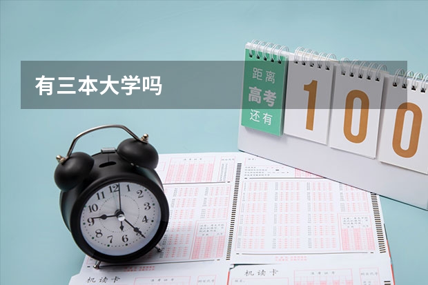 有三本大学吗