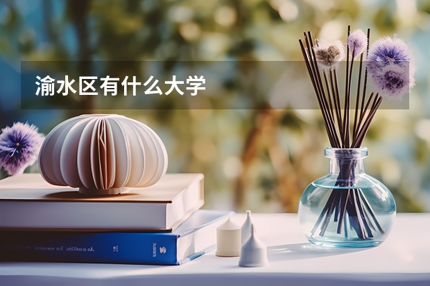渝水区有什么大学