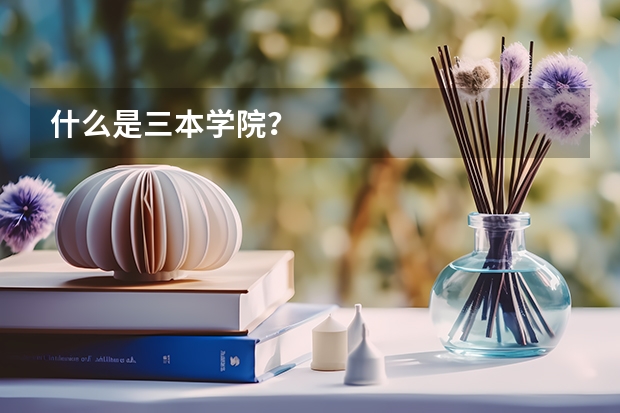 什么是三本学院？