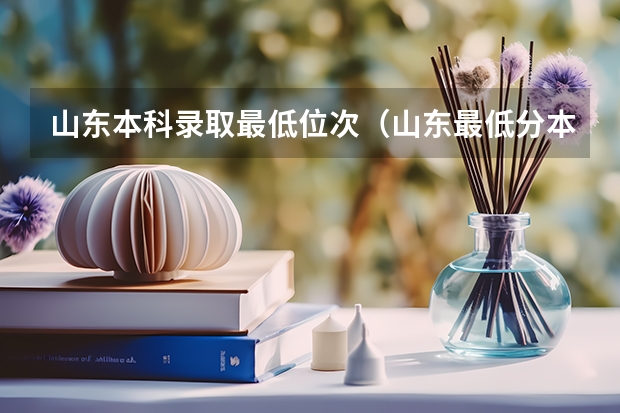 山东本科录取最低位次（山东最低分本科大学）