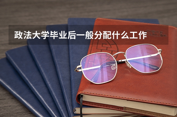 政法大学毕业后一般分配什么工作