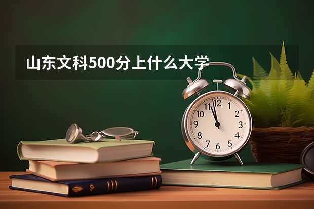 山东文科500分上什么大学