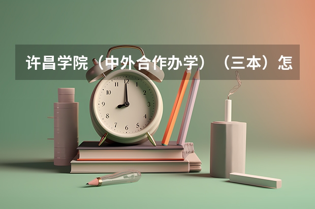 许昌学院（中外合作办学）（三本）怎么样？