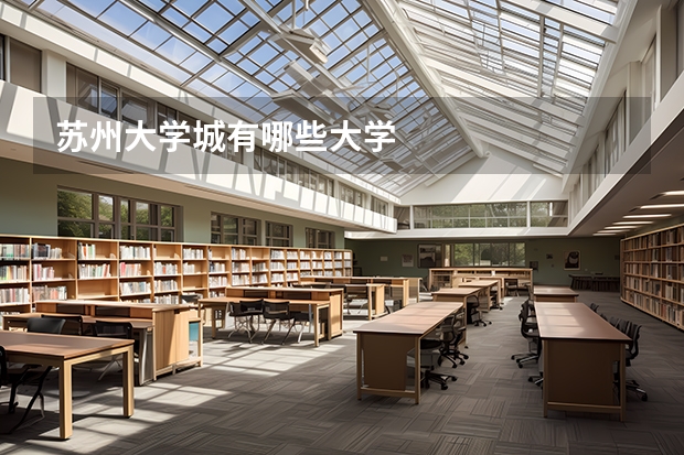 苏州大学城有哪些大学