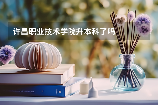 许昌职业技术学院升本科了吗