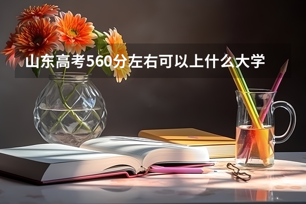 山东高考560分左右可以上什么大学