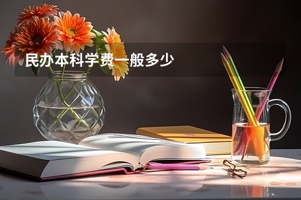民办本科学费一般多少