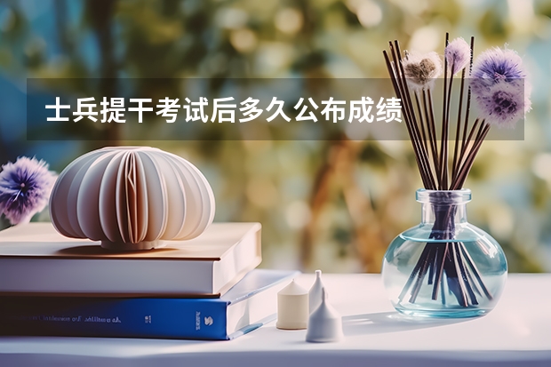 士兵提干考试后多久公布成绩