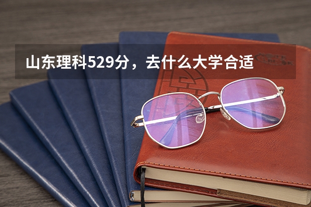 山东理科529分，去什么大学合适