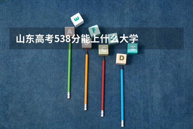 山东高考538分能上什么大学