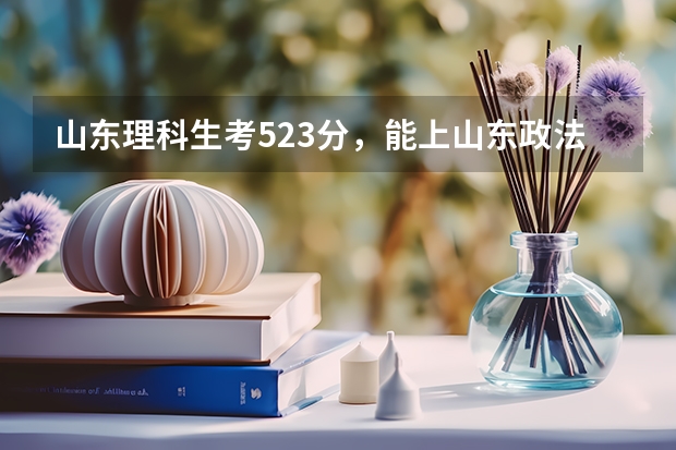 山东理科生考523分，能上山东政法学院的专科吗