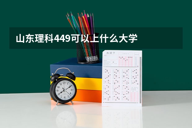 山东理科449可以上什么大学