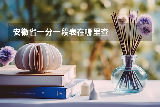 安徽省一分一段表在哪里查