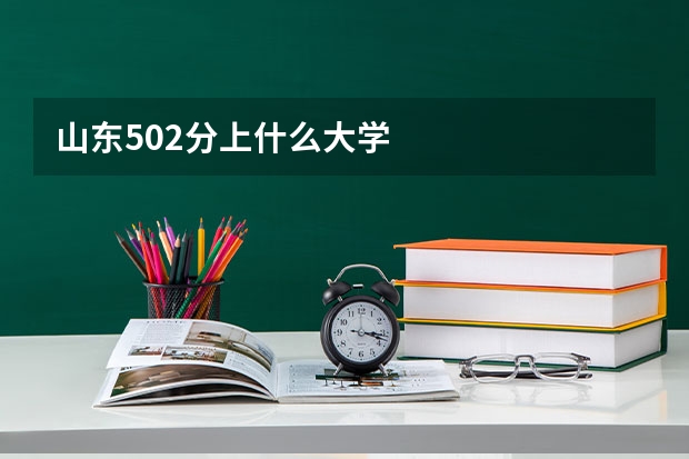 山东502分上什么大学