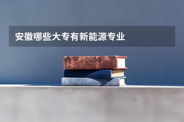 安徽哪些大专有新能源专业