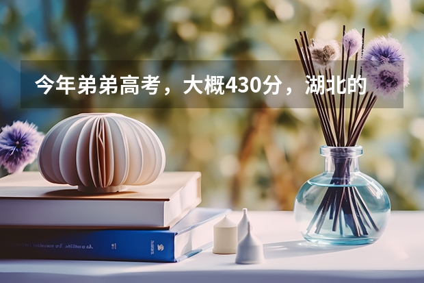 今年弟弟高考,大概430分,湖北的考生,想报土木工程,不知道武汉哪个学校有土木工程的三本,学校好点