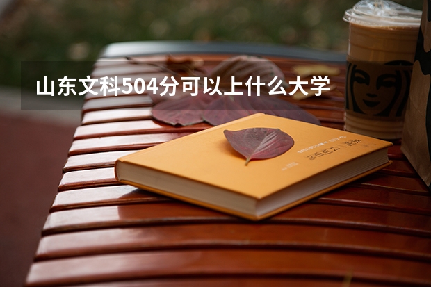 山东文科504分可以上什么大学