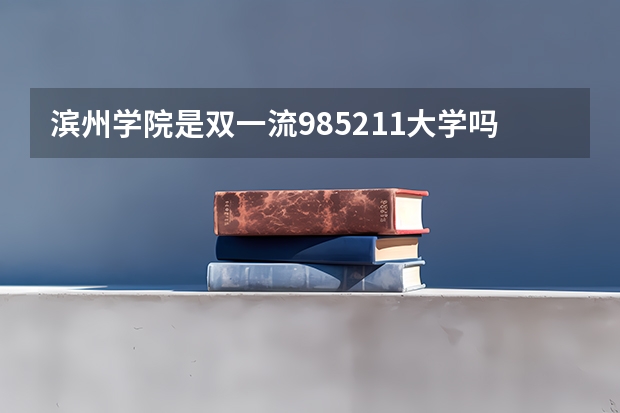 滨州学院是双一流/985/211大学吗（历年分数线）