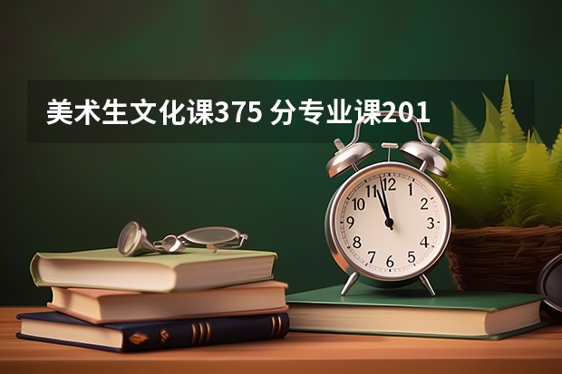 美术生文化课375 分专业课201分能上哪个大学？