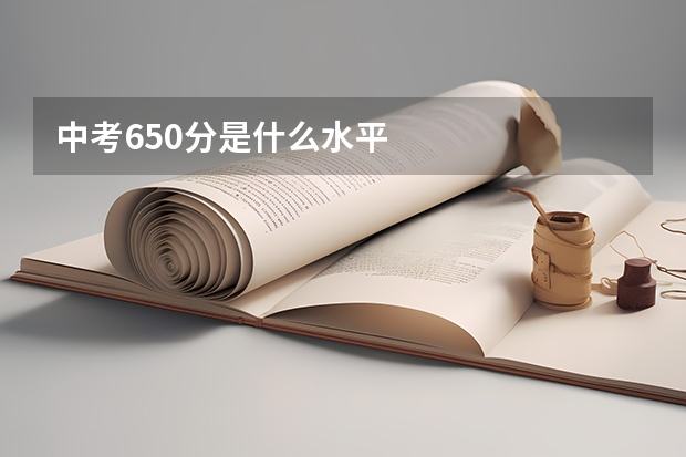 中考650分是什么水平