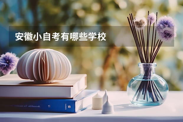 安徽小自考有哪些学校