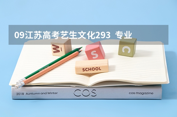 09江苏高考艺生文化293 专业196 能上什么学校