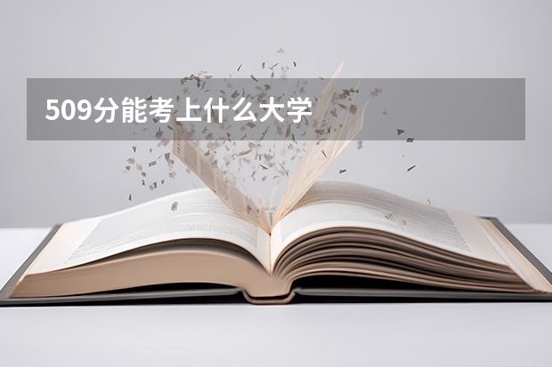 509分能考上什么大学