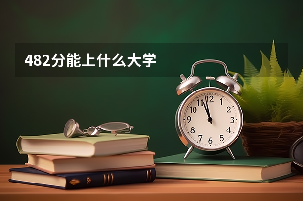 482分能上什么大学