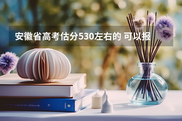 安徽省高考估分530左右的 可以报哪所军校 安徽普通高校招生志愿设置规定