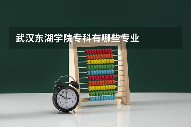 武汉东湖学院专科有哪些专业