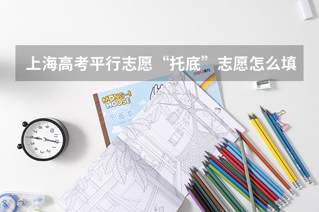 上海高考平行志愿“托底”志愿怎么填