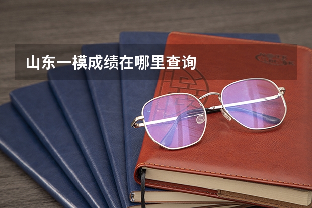山东一模成绩在哪里查询