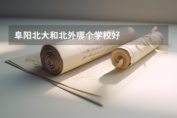阜阳北大和北外哪个学校好