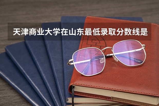 天津商业大学在山东最低录取分数线是多少（2024高考参考）