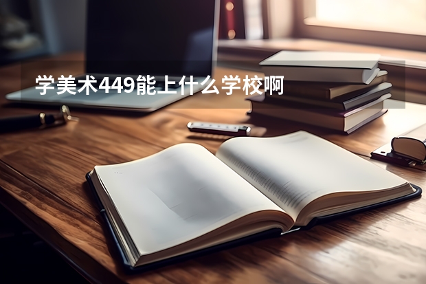 学美术449能上什么学校啊