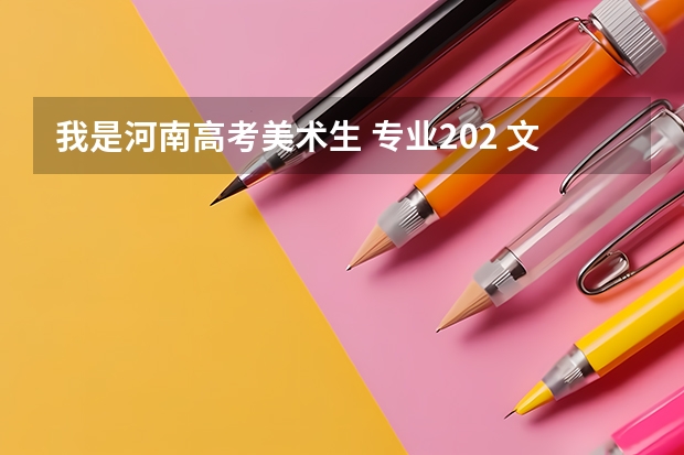 我是河南高考美术生 专业202 文化大概300左右 能上什么学校