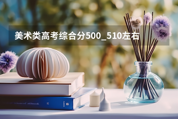 美术类高考综合分500_510左右，有什么综合公办一本大学上？