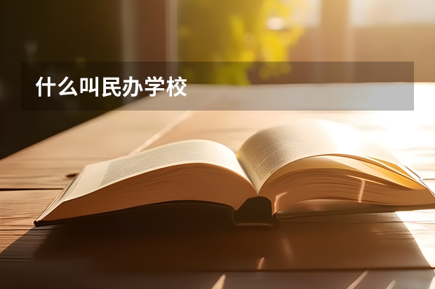 什么叫民办学校