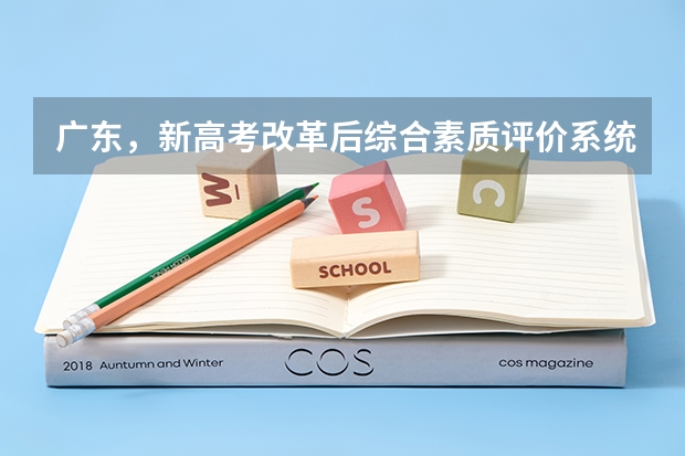 广东，新高考改革后综合素质评价系统没填会有什么影响，对大学录取的影响大吗，如何才能补填？