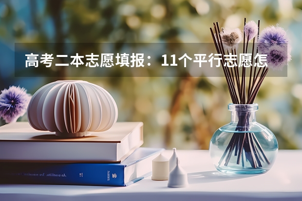 高考二本志愿填报：11个平行志愿怎么填