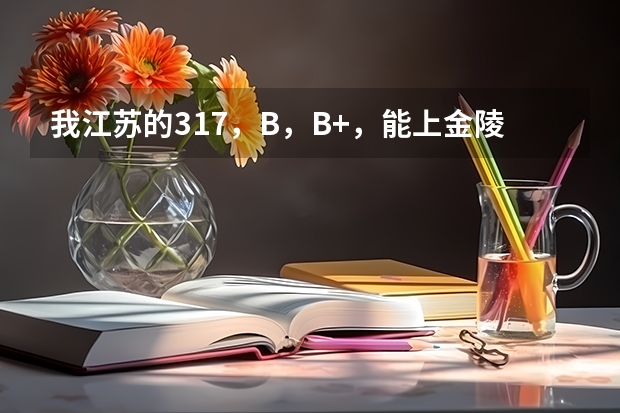 我江苏的317,B,B+,能上金陵三本吗?成贤金陵哪个好