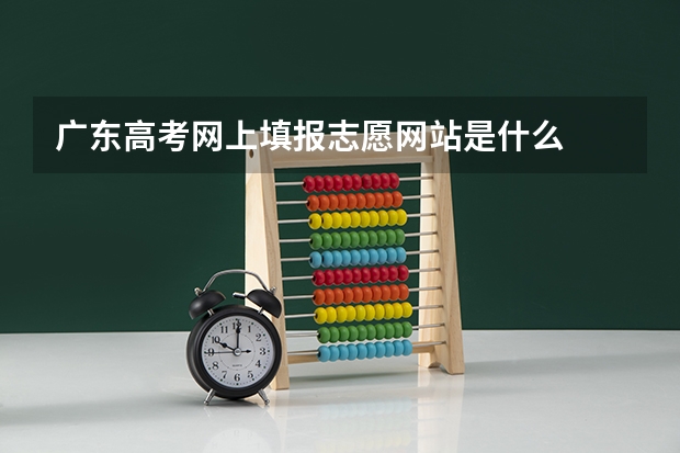 广东高考网上填报志愿网站是什么