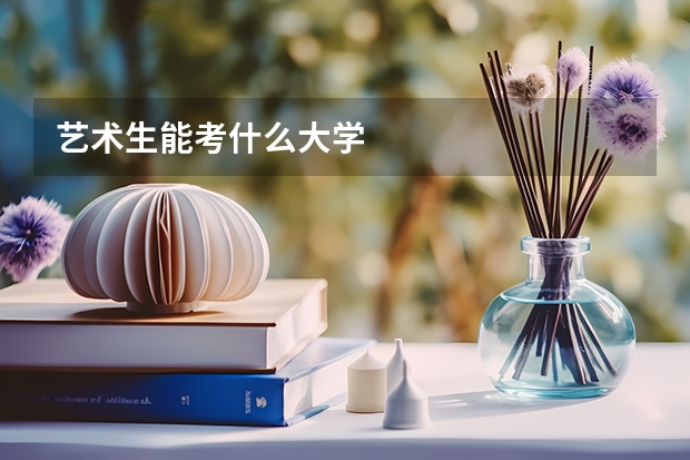 艺术生能考什么大学