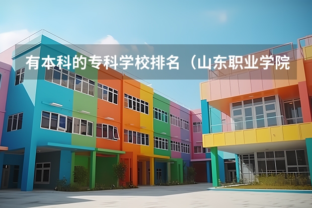 有本科的专科学校排名（山东职业学院排名第几）