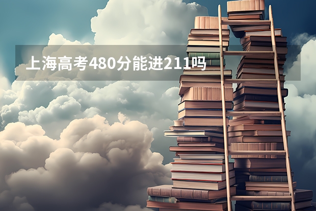 上海高考480分能进211吗